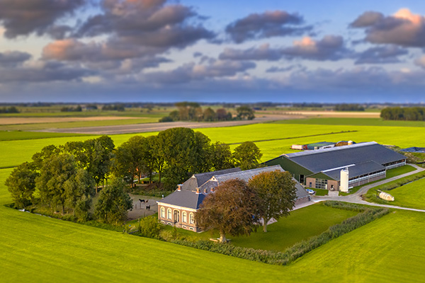 Rural Health Transformation